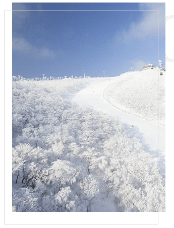 2024년 전국 스키장 폐장일 총정리