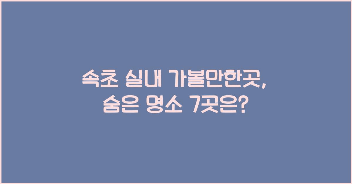 속초 실내 가볼만한곳