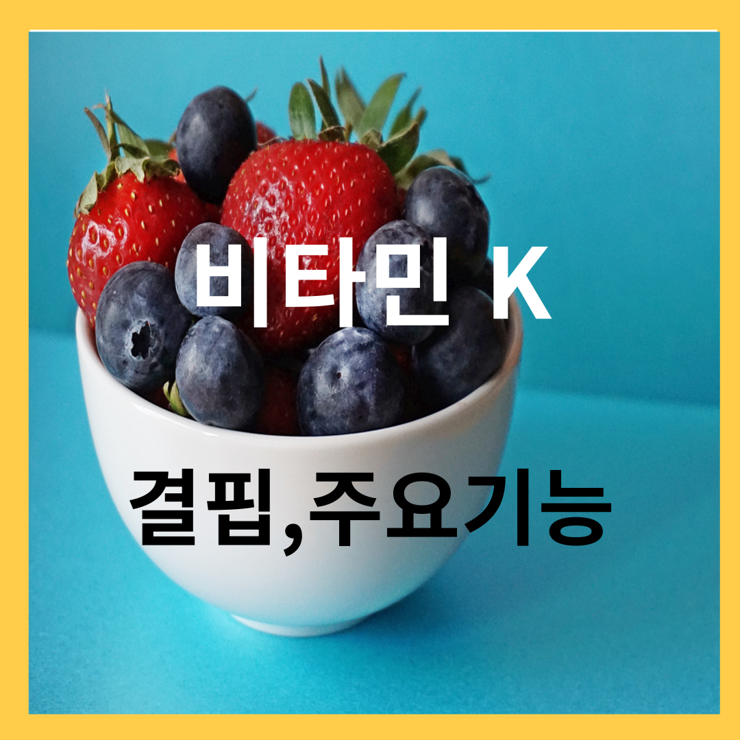 비타민 K - 비타민 K 결핍, 주요기능