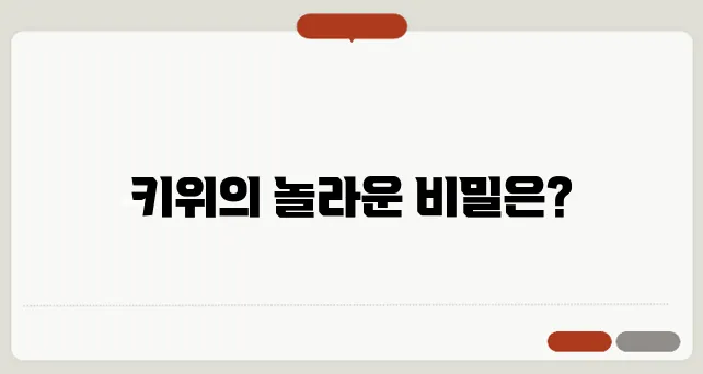 키위효능과 부작용! 키위의 다채로운 영양과 효능 알아보자!