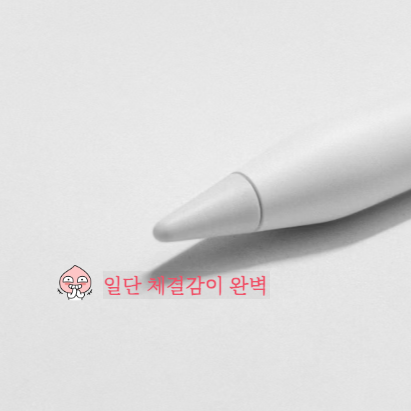 애플펜슬 펜촉 정품 vs 호환 솔직 후기