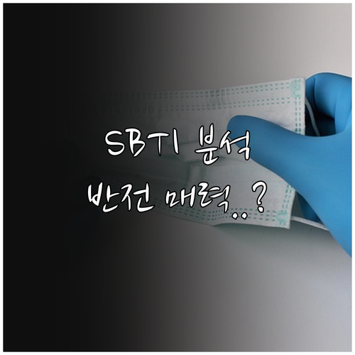 SBTI FAKE 유형 의미와 반전 ..