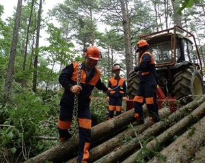 임업경영체 등록 조건 신청