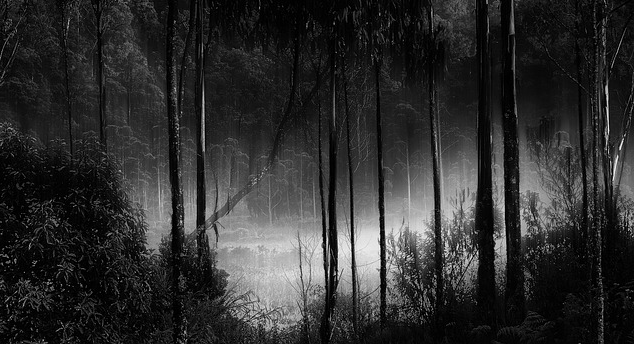 2025년 부산 동구 은퇴자를 위한 생활 가이드 관련 사진