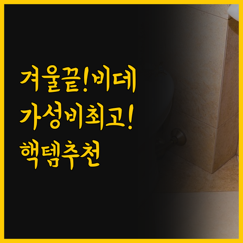 가성비 비데 시대 오늘비데와 블루밍으..