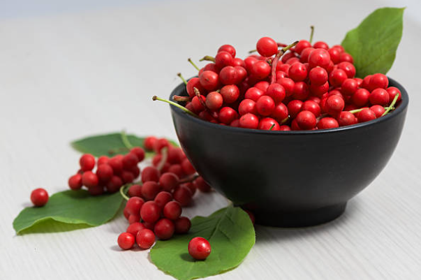 오미자청의 재료 오미자