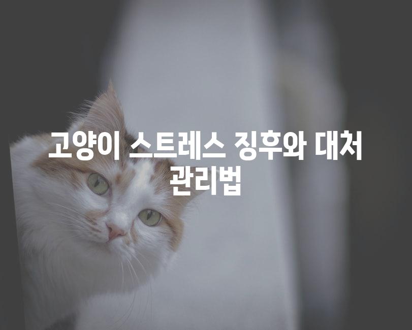 Cat Stress 4