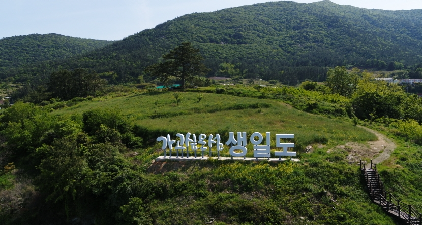 생일도 