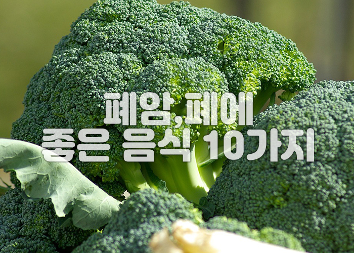 브로콜리 이미지