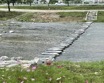 평창 더위사냥축제_19