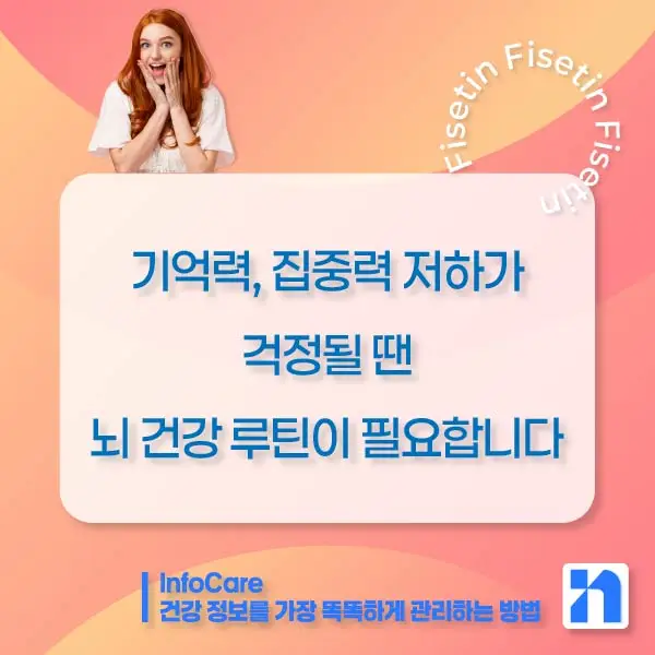 피세틴 효능 항산화 저속노화 노화방지 세놀리틱