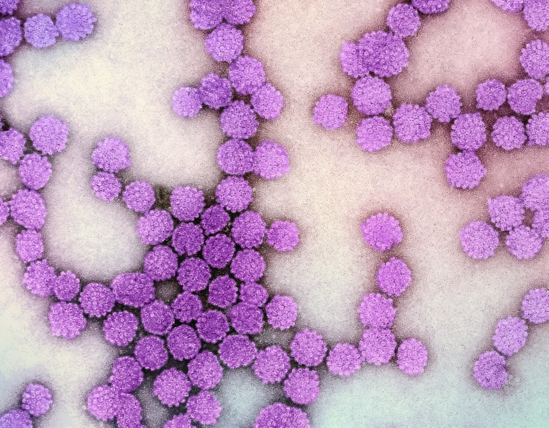 HPV