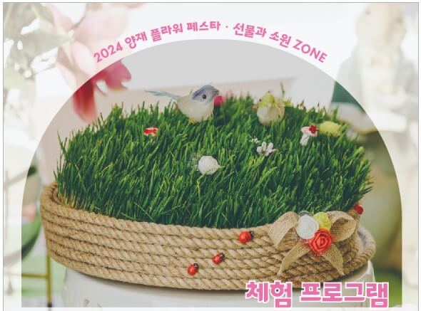 나만의 반려식물