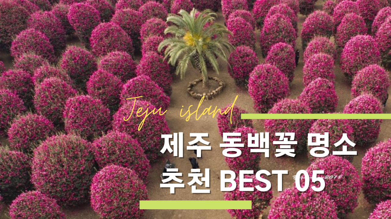 겨울에만 볼 수 있는 제주 동백꽃 명소 추천 BEST 05 할인입장권 포함
