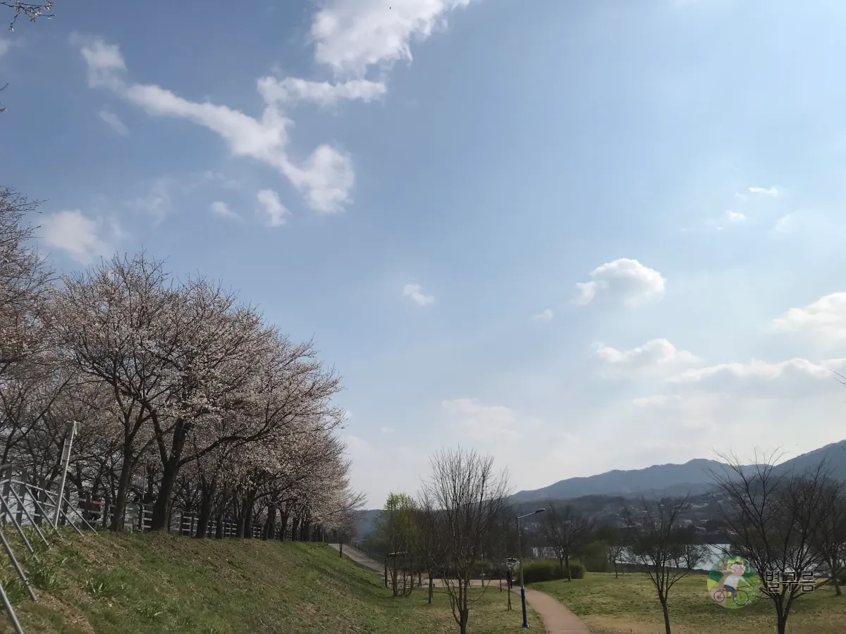 갈산공원-벚꽃-풍경-5