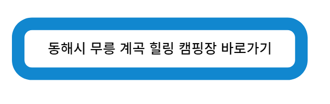동해시 무릉 계곡 힐링 캠핑장 바로가기