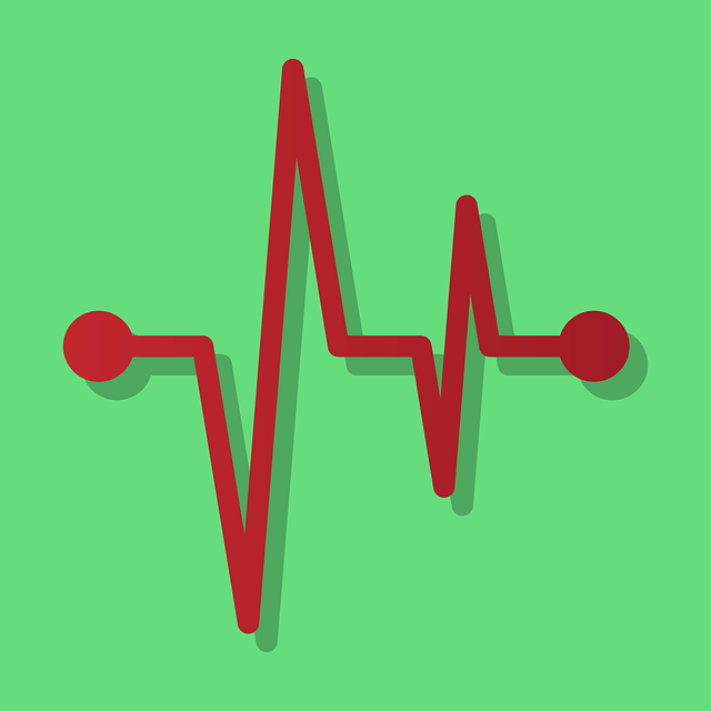 성인 정상 맥박수