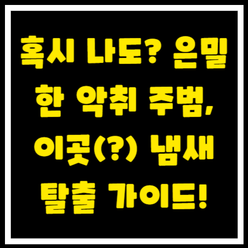 혹시 나도? 은밀한 악취 주범, 이곳(?) 냄새 탈출 가이드!