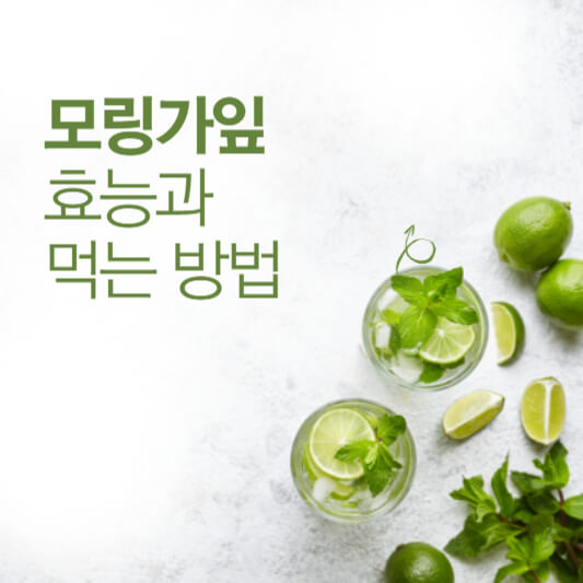 모링가잎