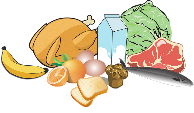 건강한 식재료들 : 과일, 고기, 생선, 통밀빵, 계란, 우유