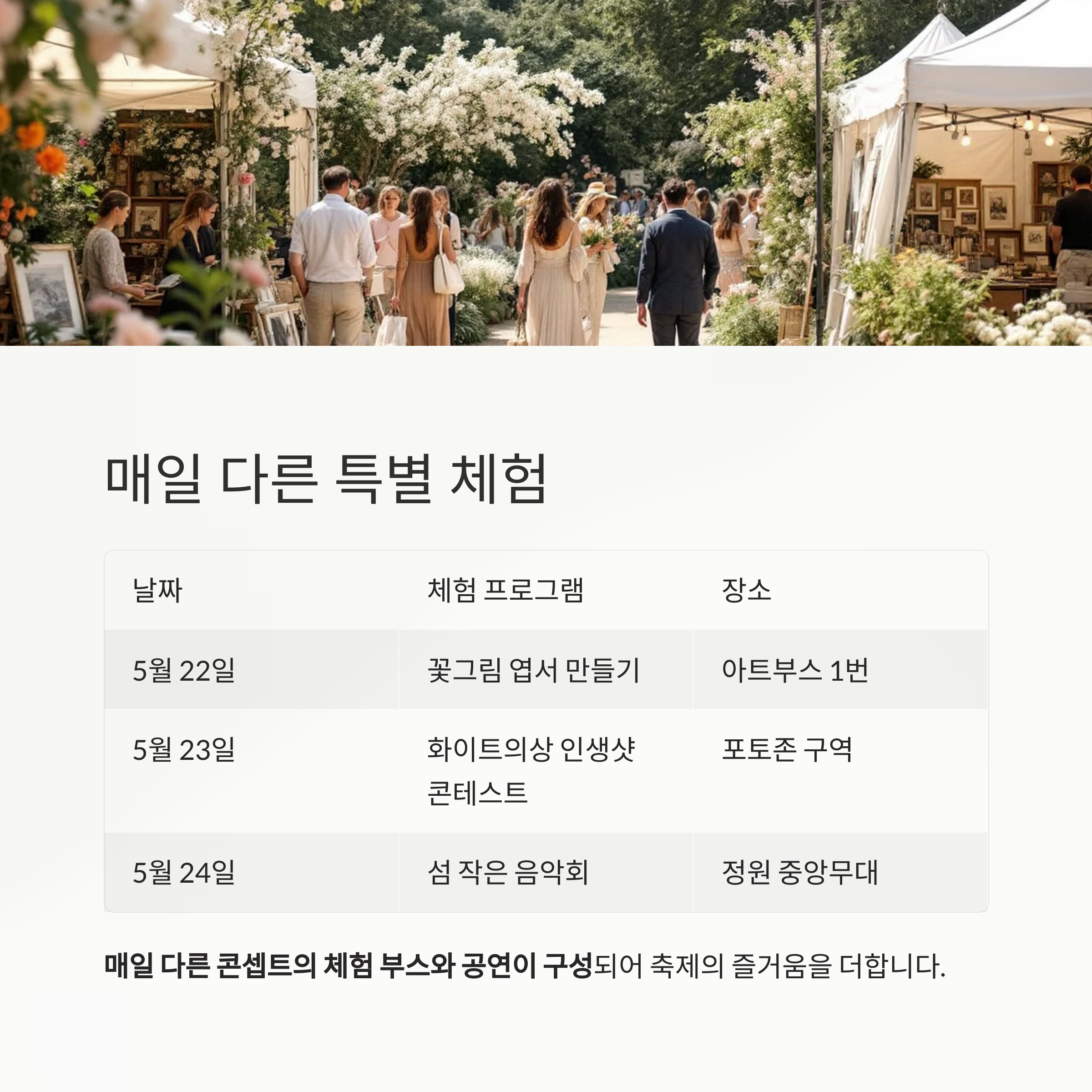 2025 장산도 샤스타데이지 축제, 순백의 정원이 전하는 평화의 풍경