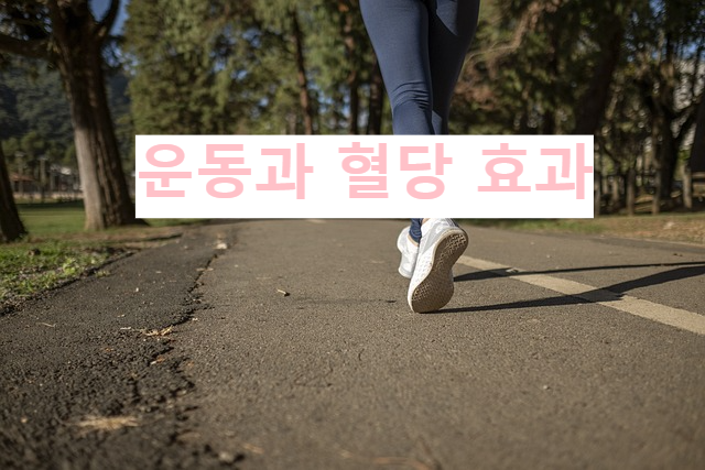 운동과 혈당 효과