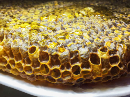 프로폴리스 효능, 부작용, 복용법 총정리 (2024ver)