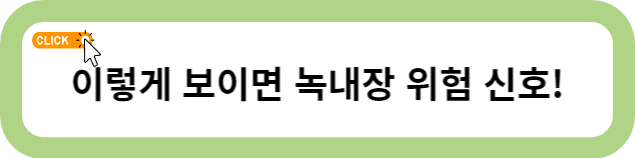 녹내장