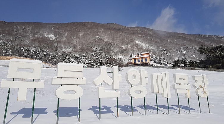 무등산 양떼 목장(2)