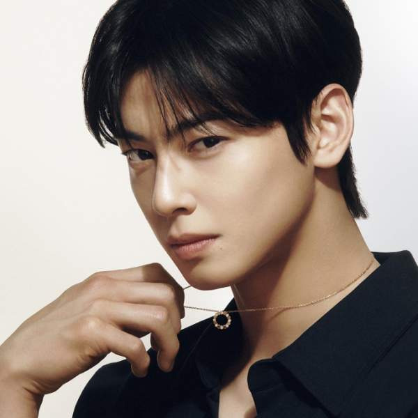 차은우 조세심판원 청구 승소 확률과 행정소송 3대 시나리오 정밀 예측, 낸 돈 130억 다시 돌려받을까?
