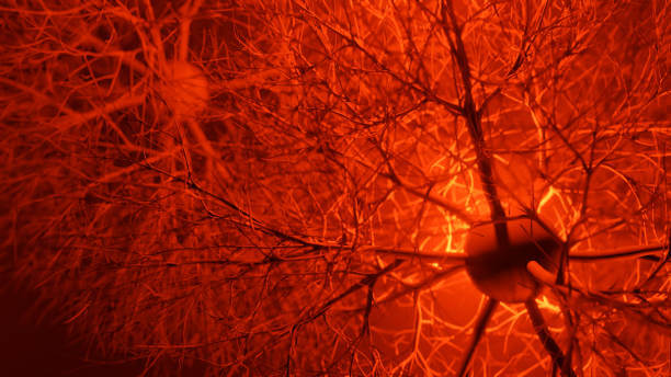 뇌전증 전조증상, 원인과 진단 내용입니다. 뇌전증은 예상치 못한 증상과 고통을 야기할 수 있습니다. 이 블로그 글에서는 뇌전증의 전조증상에 대해 알아보고, 조기 발견과 관리의 중요성을 이야기하겠습니다.