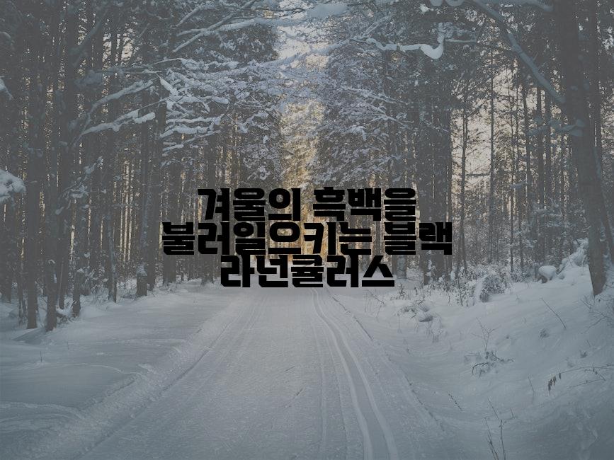 겨울의 흑백을 불러일으키는 블랙 라넌큘러스