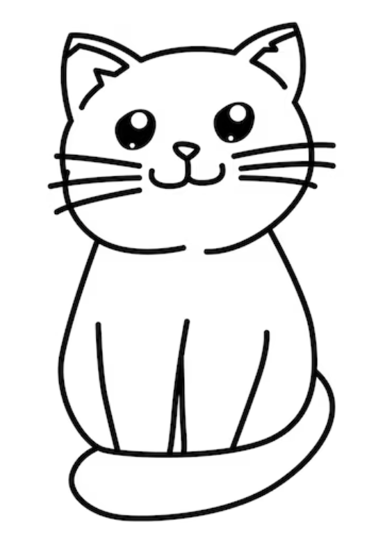 고양이약먹이기, 고양이밥안먹을때, 고양이케어