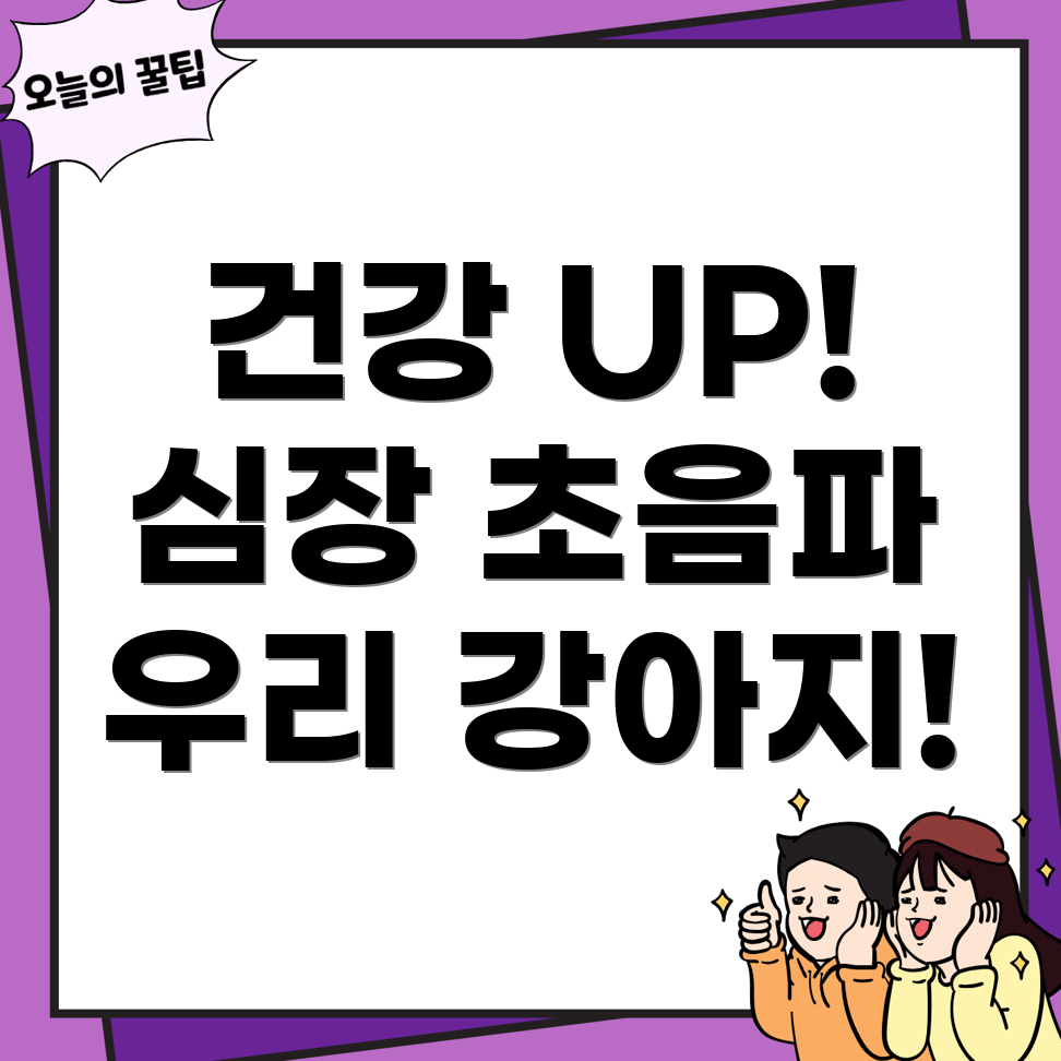 심장 초음파 검사