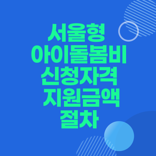 서울형 아이돌봄비