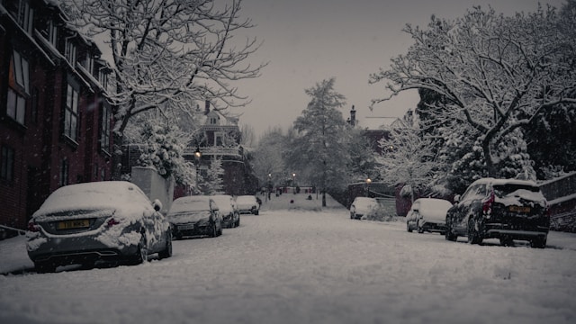 대설특보 재난문자 다시보기 및 알림 설정 완벽 정리