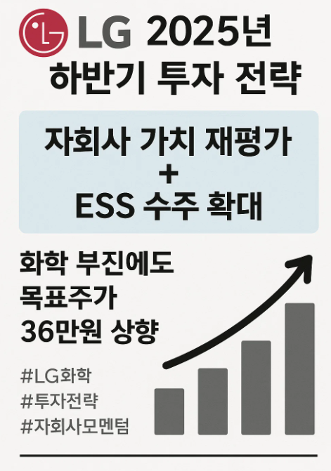2025년 하반기 LG화학 투자 전략