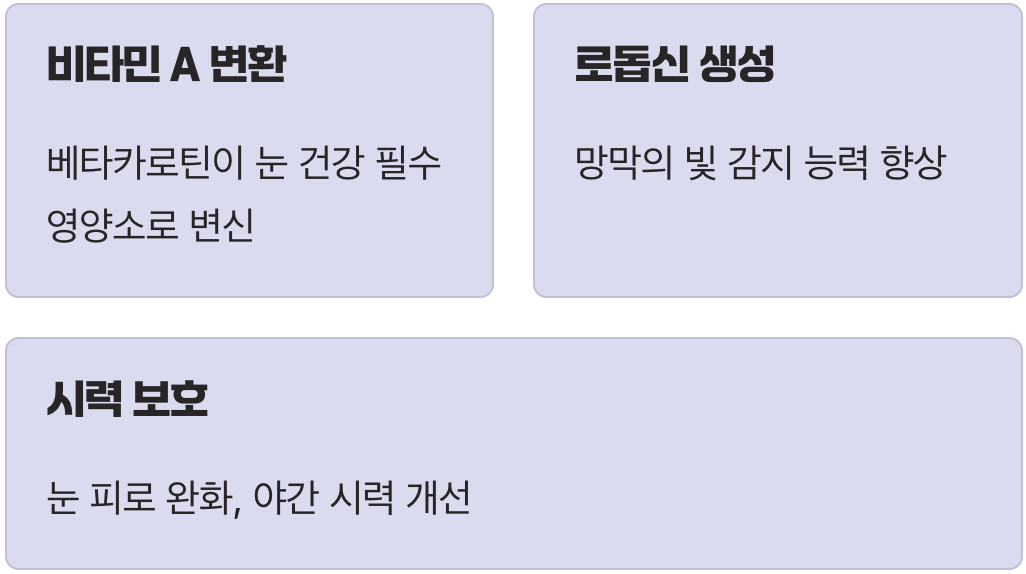 1. 눈 건강 지킴이, '베타카로틴'의 힘