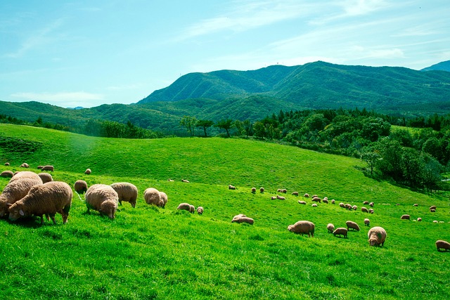 도별 여행은 처음이지? 7탄 강원도