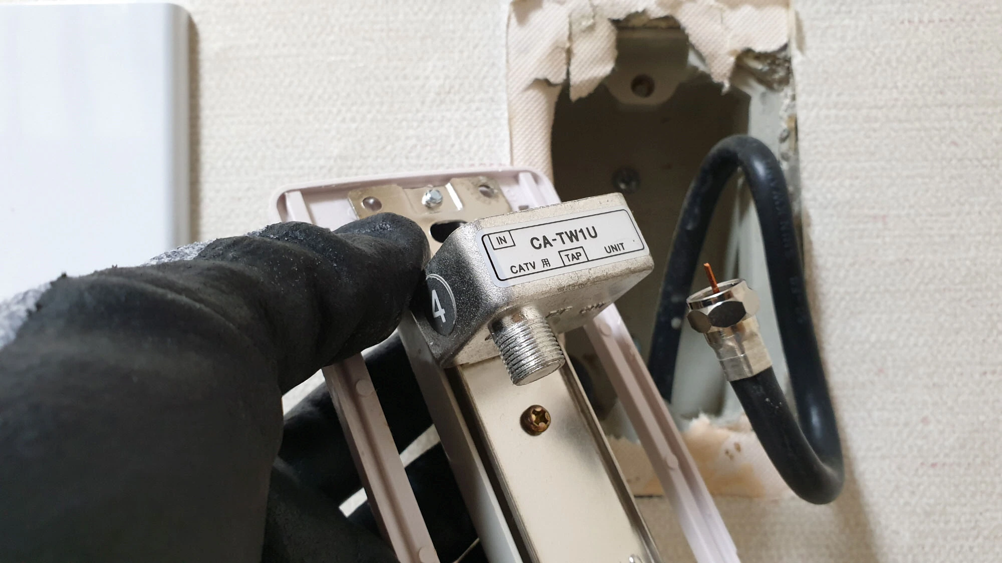 단자 분리 모습