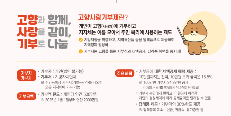 고향사랑기부제 요약