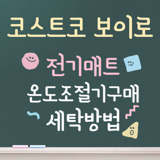 보이로 전기요 온도조절기 구매
