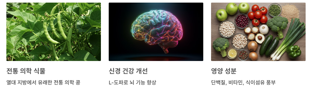 제비콩이란