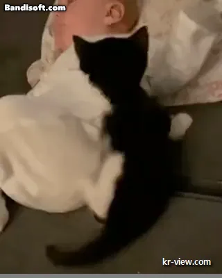 img.webp?credential=yqXZFxpELC7KVnFOS48ylbz2pIh7yKj8&expires=1767193199&allow_ip=&allow_referer=&signature=uRUAVAQORLh6S4RflfpBkT7UXag%3D