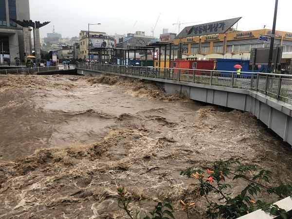 광주 호우 실종 인명 피해