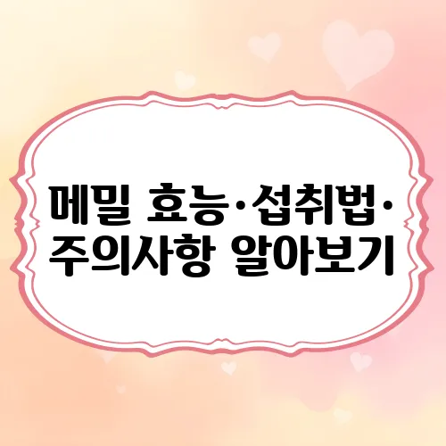 메밀 효능·섭취법·주의사항 알아보기