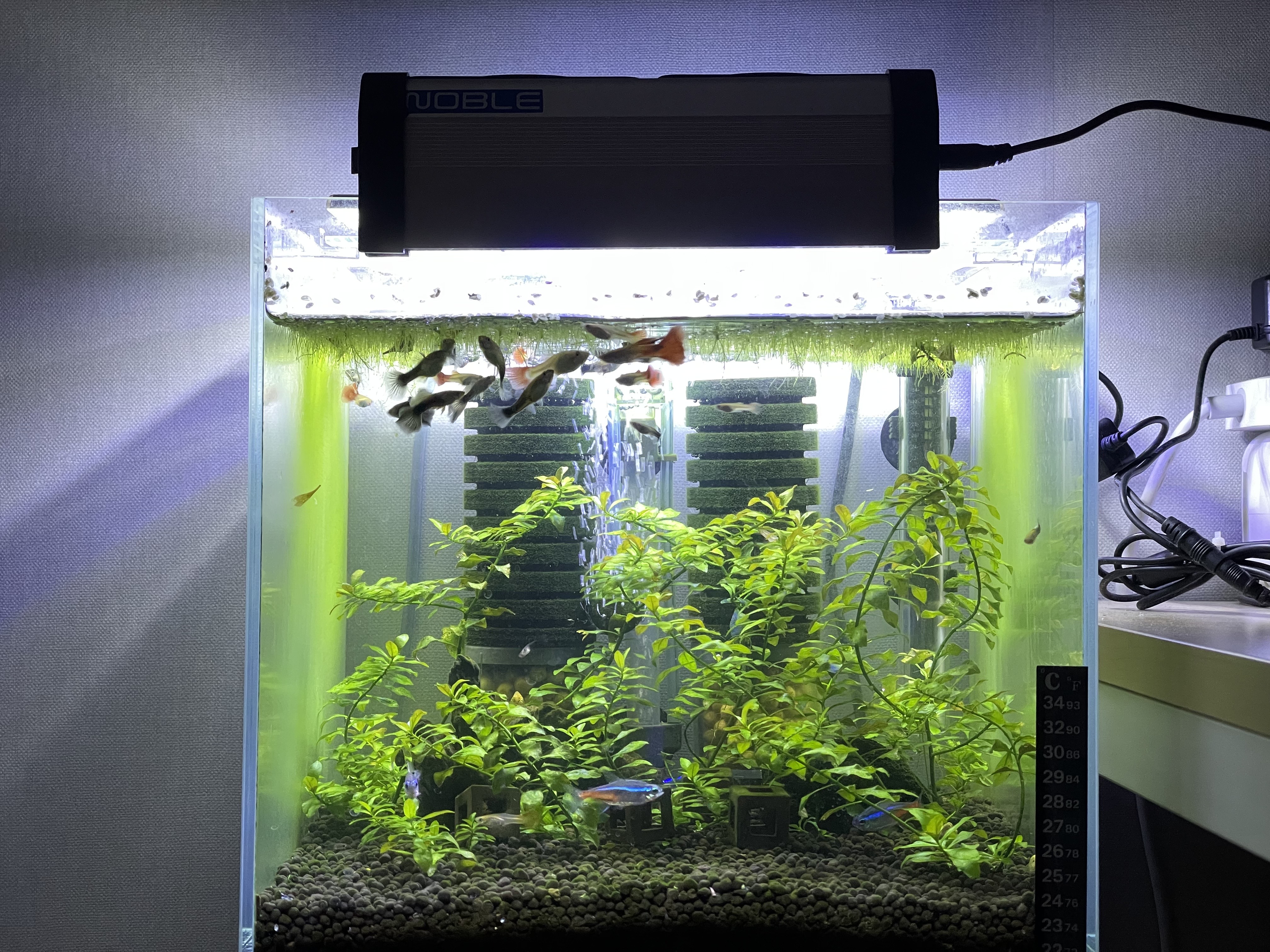 노블 어항 냉각 쿨링 팬 쿨러 사용기 - 메인 이미지