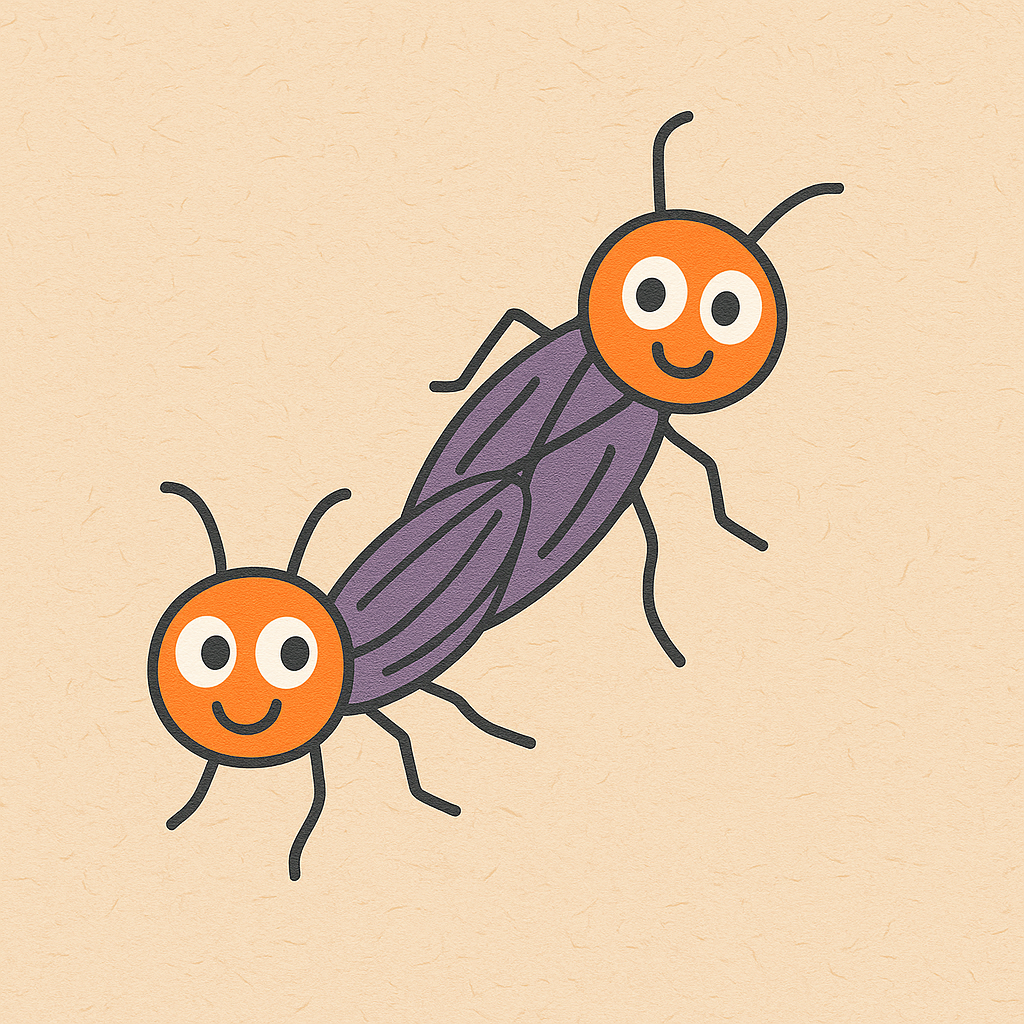 love-bug