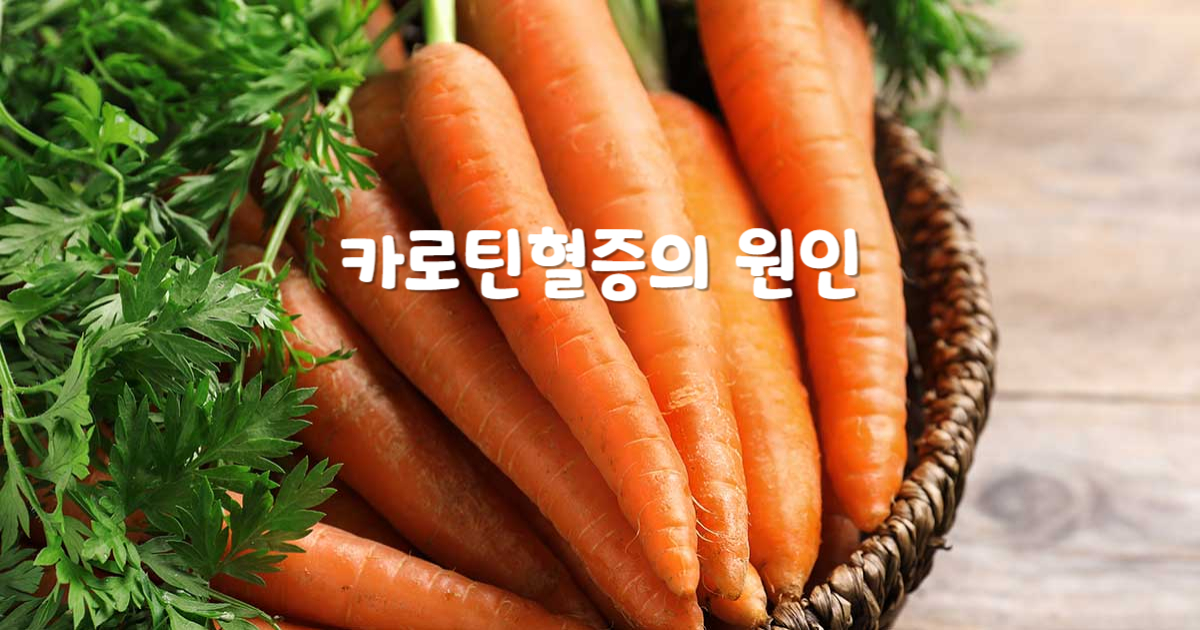 카로틴혈증의 원인 중 하나인 당근