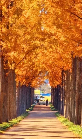 풍경 사진 잘 찍는 방법 꿀팁_5